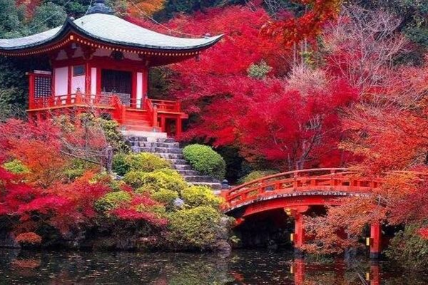 Japonca Tercüme - Japonca Çeviri Hizmeti | Daltercume